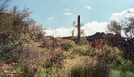 photo thumbnail #5
