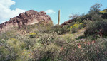 photo thumbnail #6