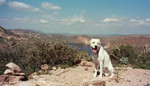 photo thumbnail #13