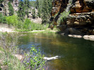 photo thumbnail #2
