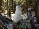 photo thumbnail #5