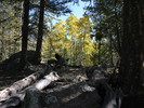 photo thumbnail #1