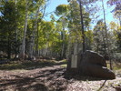 photo thumbnail #7
