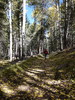 photo thumbnail #13