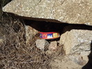 photo thumbnail #11