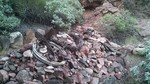 photo thumbnail #9
