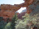 photo thumbnail #12