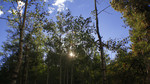 photo thumbnail #10