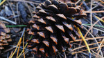 photo thumbnail #11