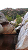 photo thumbnail #3