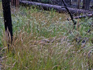 photo thumbnail #14