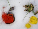 photo thumbnail #8