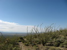 photo thumbnail #4