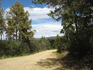 photo thumbnail #10