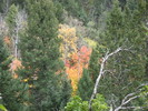 photo thumbnail #11