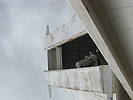 photo thumbnail #13