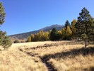 photo thumbnail #8