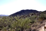 photo thumbnail #1