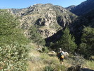 photo thumbnail #1