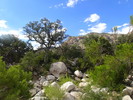 photo thumbnail #11