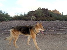 photo thumbnail #13