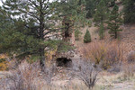 photo thumbnail #11