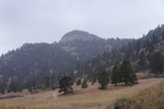 photo thumbnail #13