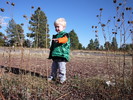 photo thumbnail #3