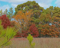 photo thumbnail #5
