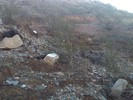 photo thumbnail #2