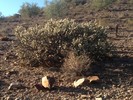 photo thumbnail #5