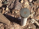 photo thumbnail #10