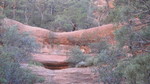 photo thumbnail #3