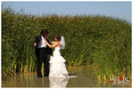 photo thumbnail #6