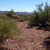 photo thumbnail #9