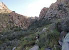 photo thumbnail #9