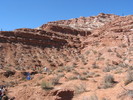 photo thumbnail #2