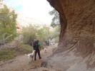 photo thumbnail #9