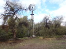 photo thumbnail #5