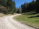 photo thumbnail #11