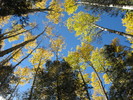 photo thumbnail #13