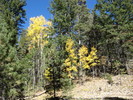 photo thumbnail #15