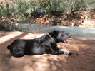 photo thumbnail #10