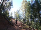 photo thumbnail #3