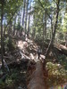 photo thumbnail #9