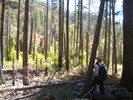 photo thumbnail #12