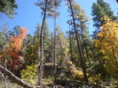 photo thumbnail #13