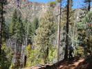 photo thumbnail #14