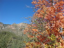 photo thumbnail #15