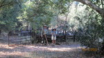 photo thumbnail #3